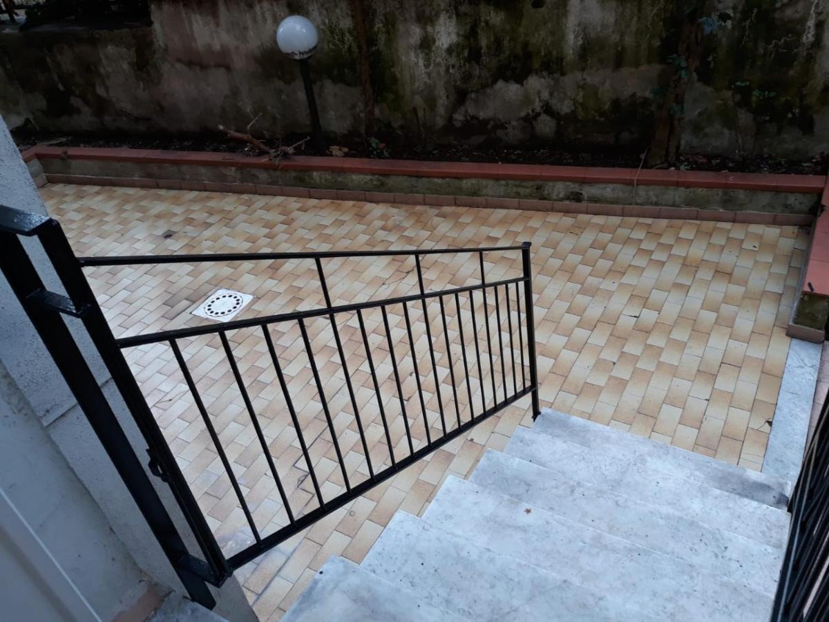 New With Garden *